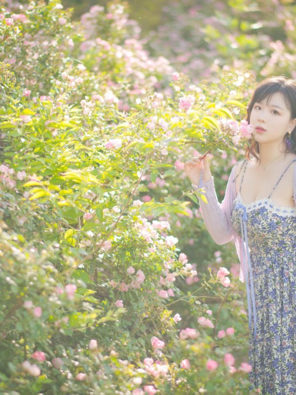 皮皮奶可可爱了啦 – 蔷薇花高清图集