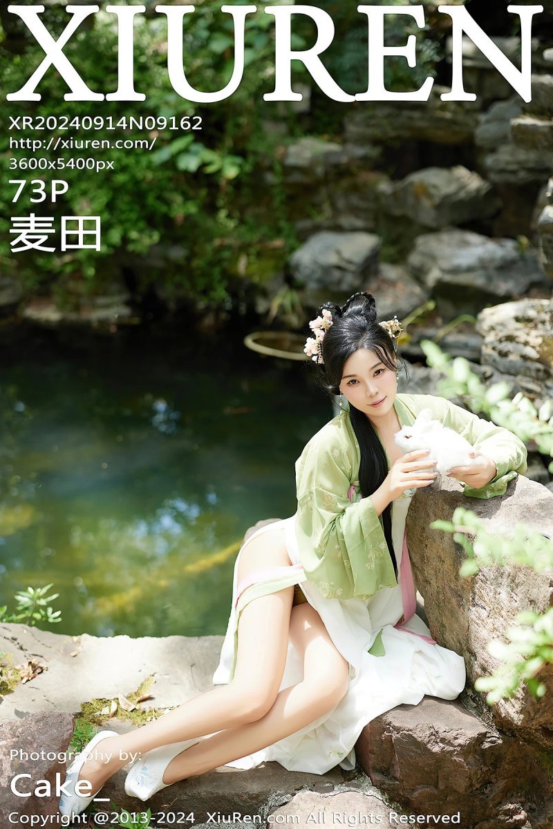 REN03F011_1-1